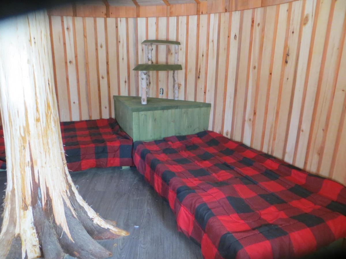 La Maison Sous Les Arbres Saint Roch de Mekinac Eksteriør bilde